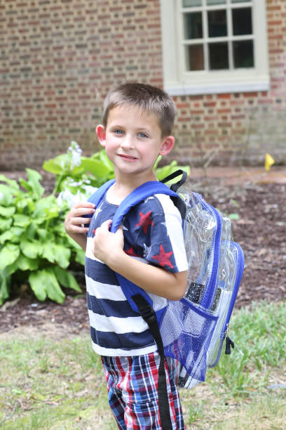 GoGo Clear Backpack